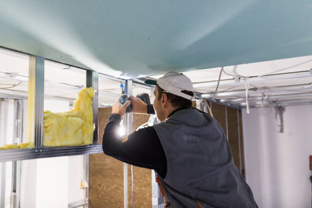 Best Insulation Removal  in Greenbriar, FL