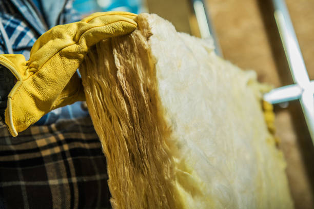 Trusted Greenbriar, FL Insulation Contractor Experts